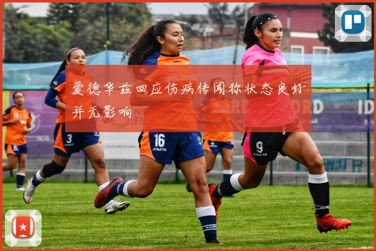 爱德华兹回应伤病传闻称状态良好并无影响